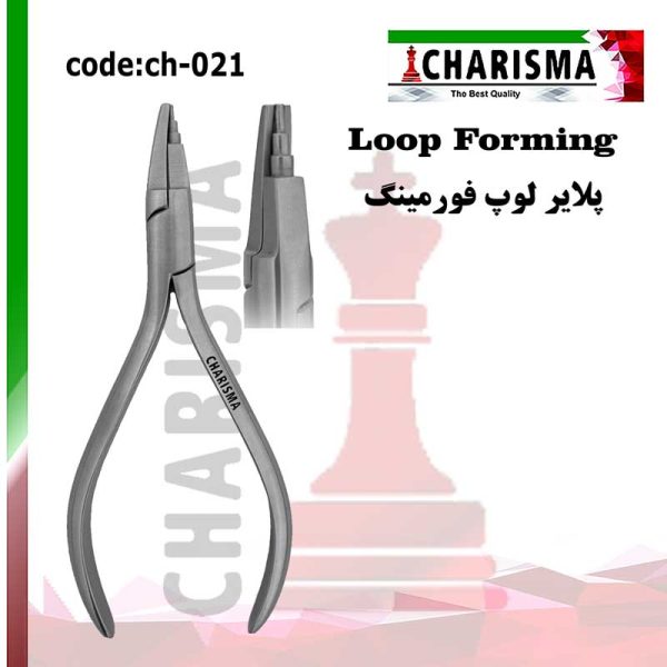 پلایر لوپ فورمینگ کاریزما
