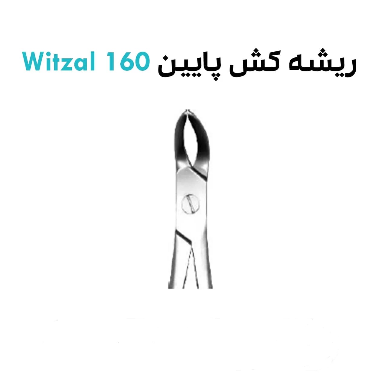 ریشه-کش-پایین-witzal-160